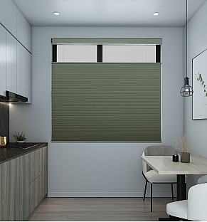 Lguana Blackout Honeycomb Blind