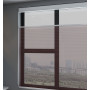 Cameo Screen Honeycomb Blind