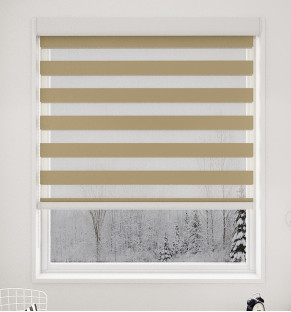Honey Sheen Blackout Vision Blind