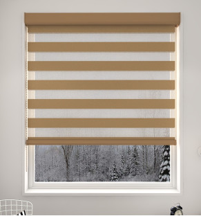  Plain Apricot Light Filtering Vision Blind