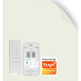 Oyster Dawn - Motorised Battery Roller Blind