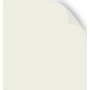 Oyster Dawn - Roller Blind