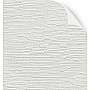 Shell - Roller Blind