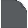 Seal Sunset - Roller Blind
