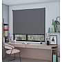 Seal Sunset - Roller Blind