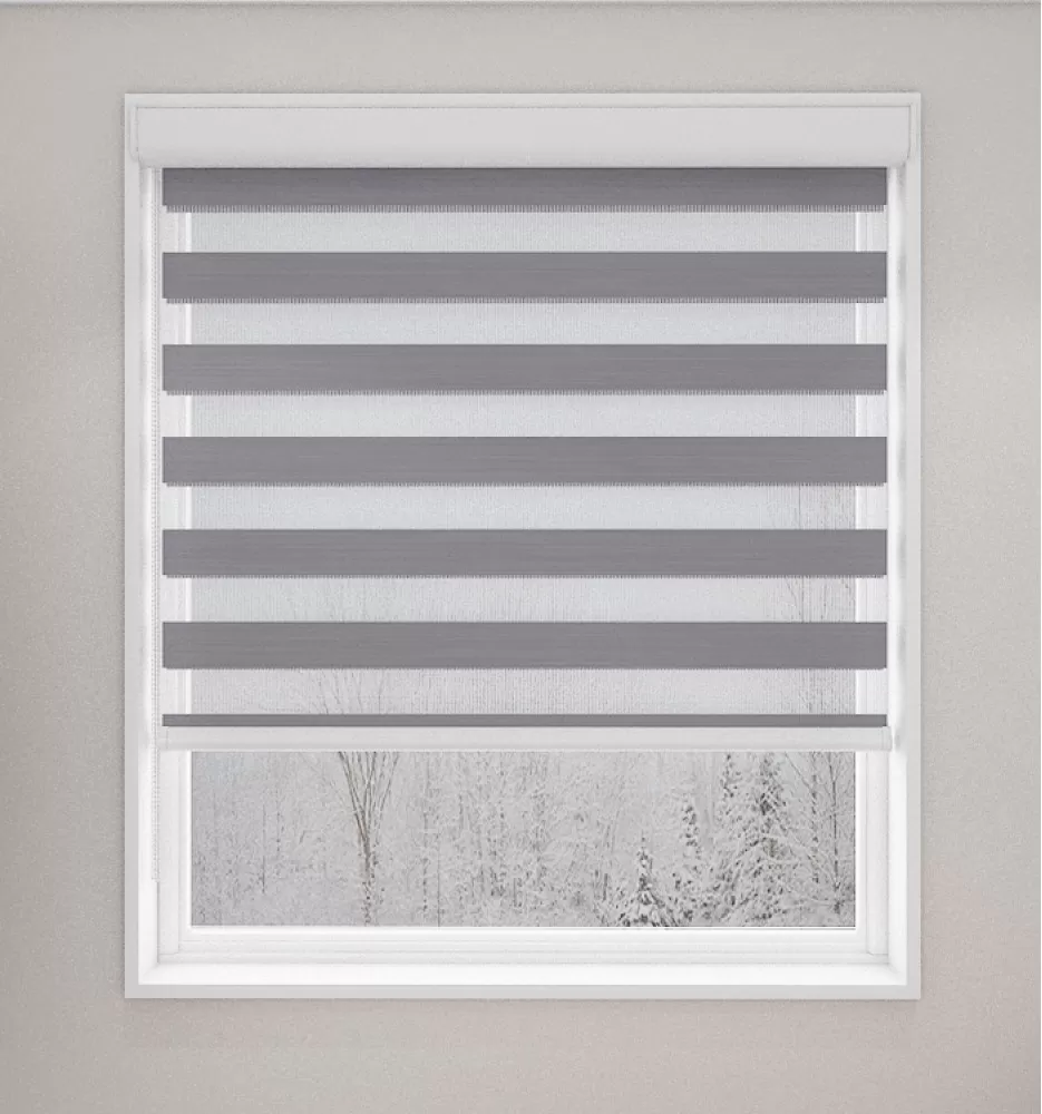 Satin Silver Pearl Light Filtering Vision Blind