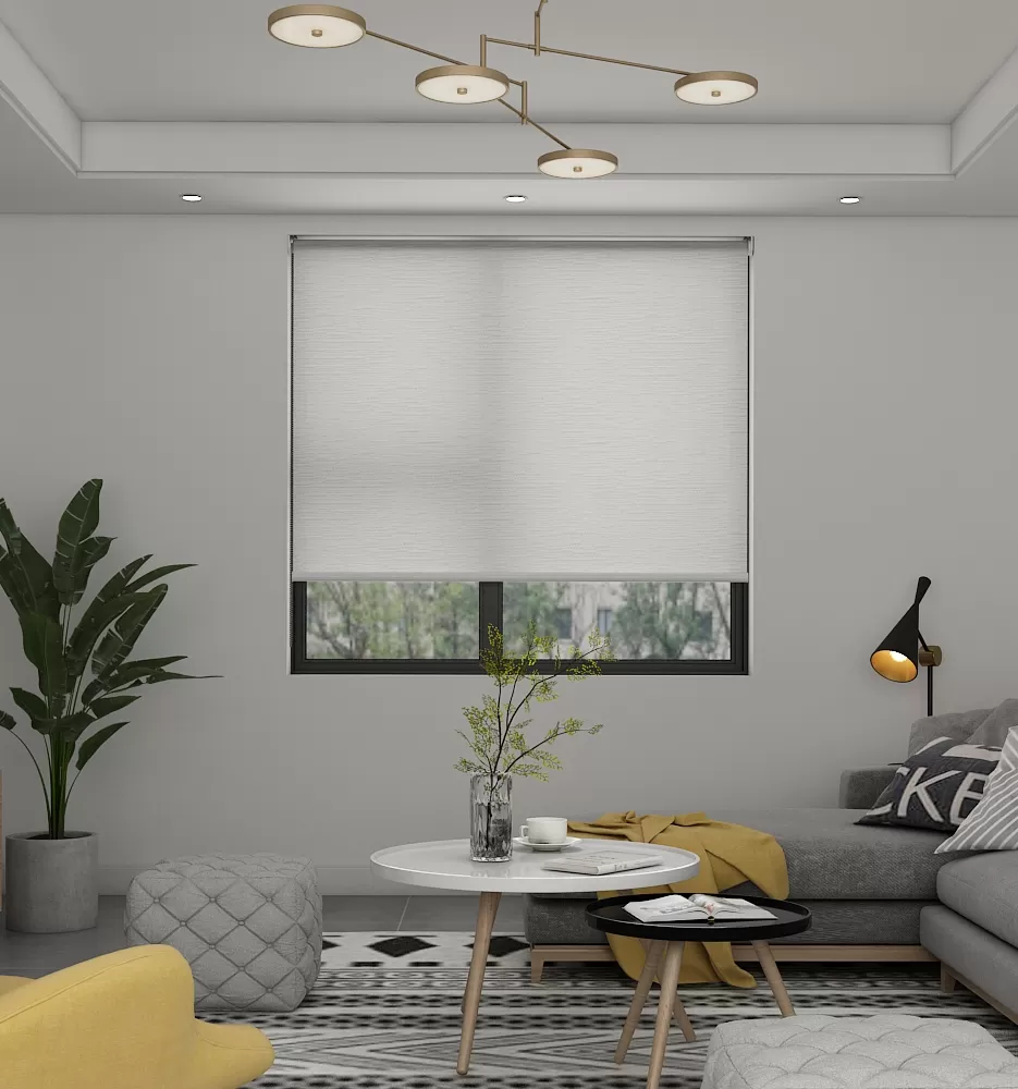 Crystal Light Filtering LeReve - Roller Blind