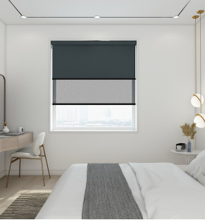 Blackout Caviar/Screen Storm - Double Roller Blind