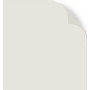 Arum Dawn - Roller Blind