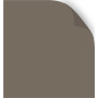 Light Bison Dawn - Roller Blind