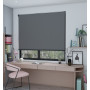 Seal Sunset - Roller Blind